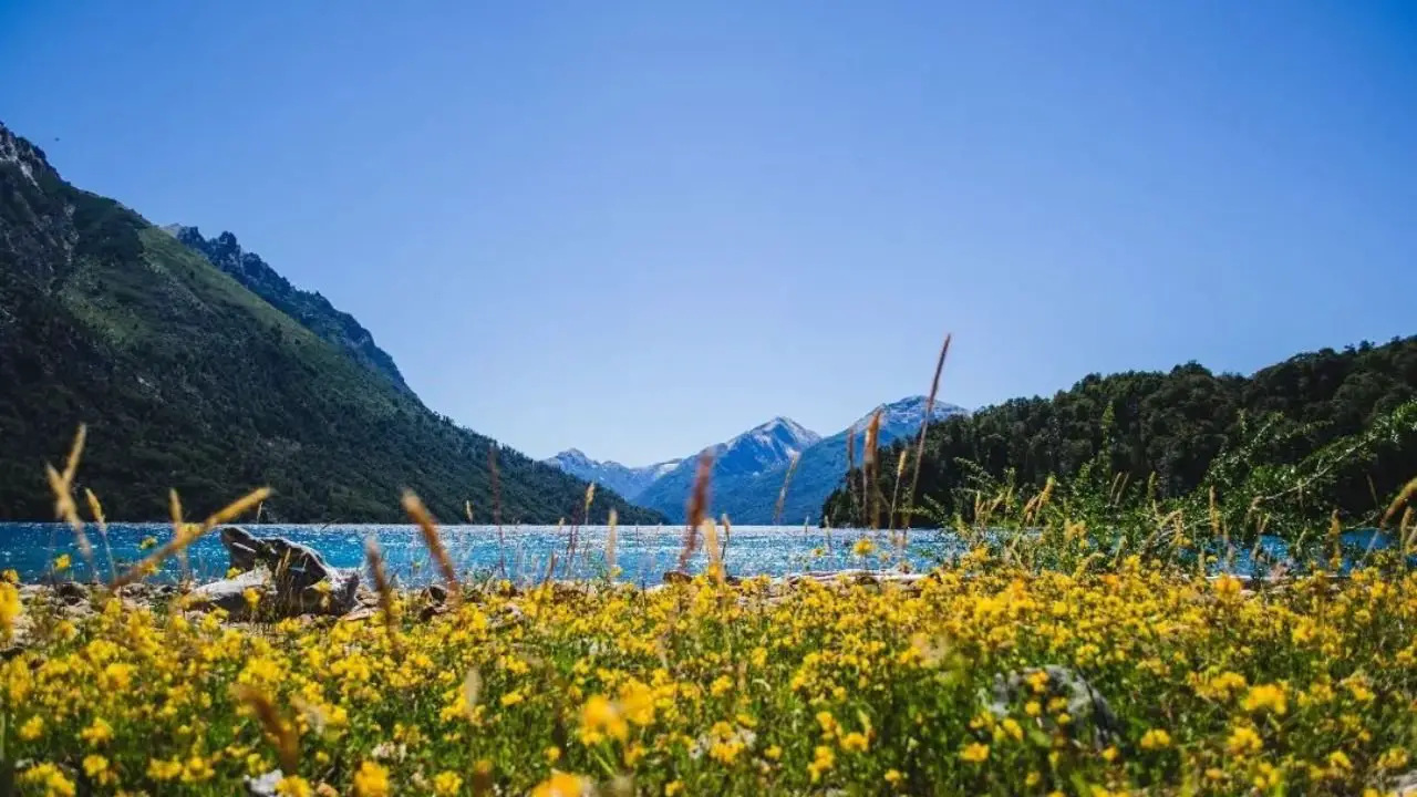 El refugio secreto de Bariloche: Descubre la playa tranquila perfecta para recargar energías en tu travesía patagónica