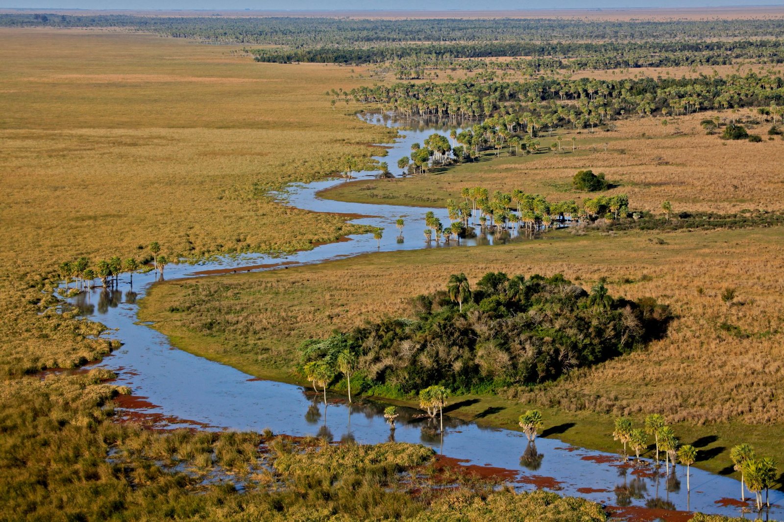 parque nacional ibera