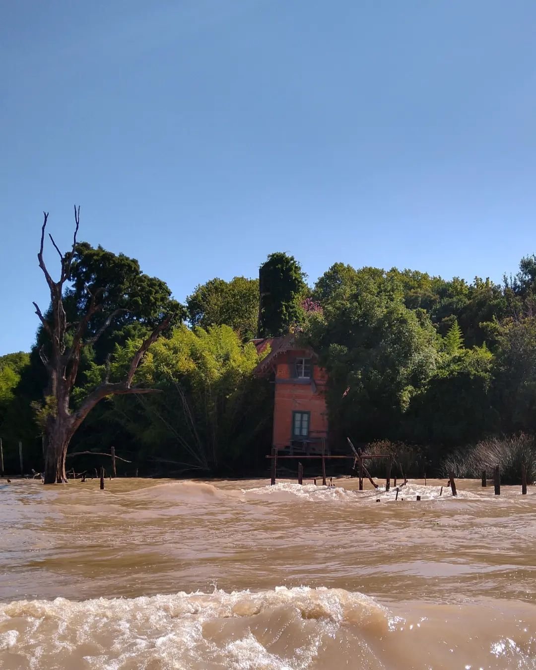 pesca en rio lujan