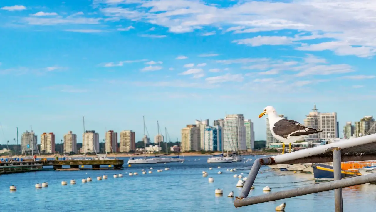 Alojamientos y atracciones imperdibles en Punta del Este Uruguay para este 2024