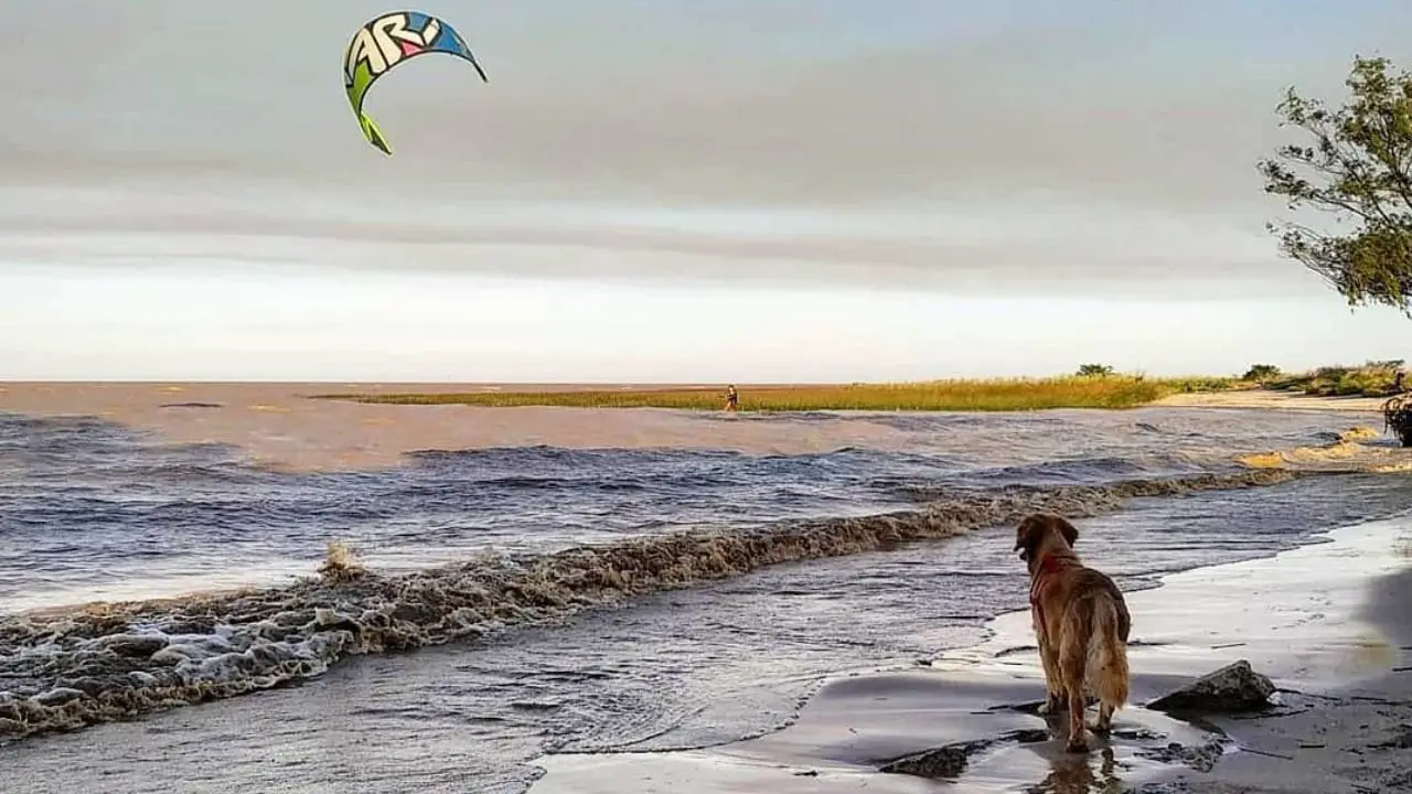 punta indio buenos aires argentina