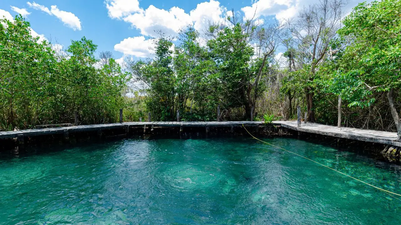 Cenote Yalahau isla holbox en mexico