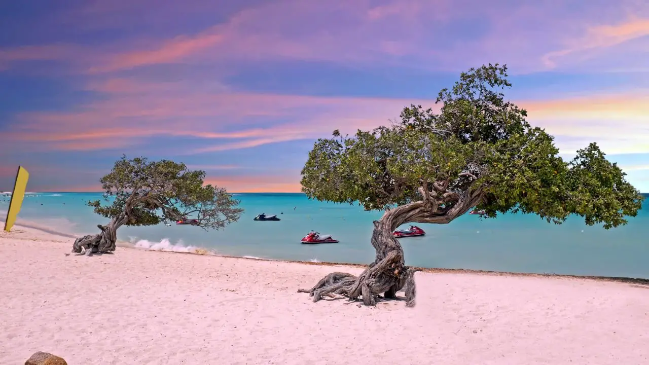 eagle beach en aruba
