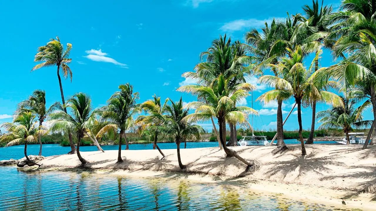Escapada de Lujo a un Paso de Miami: Descubre el Encanto Oculto de las Islas Caimán en el Caribe