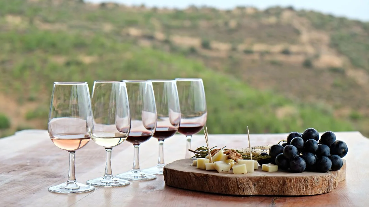 Ruta del Vino en Mendoza: La Experiencia Premium para Parejas Amantes del Buen Vino
