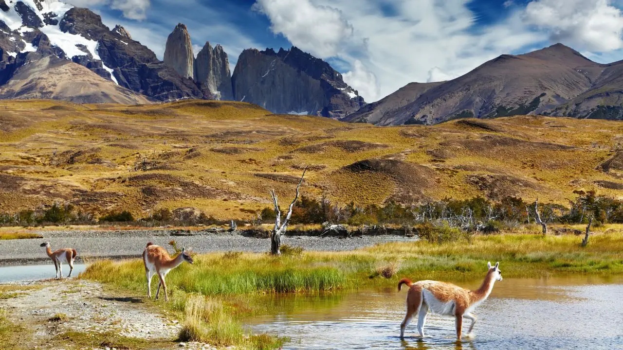 Torres del Paine, Patagonia, Chile