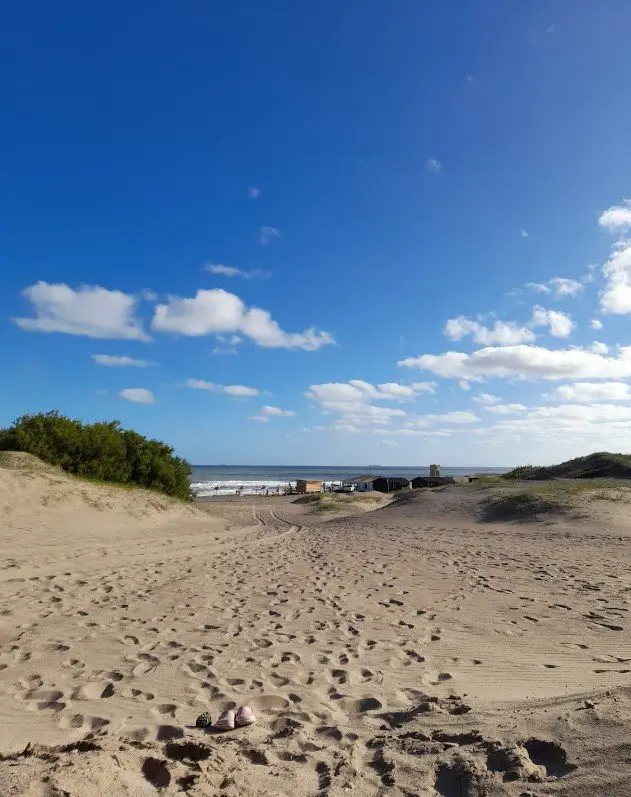 playa arenas verdes