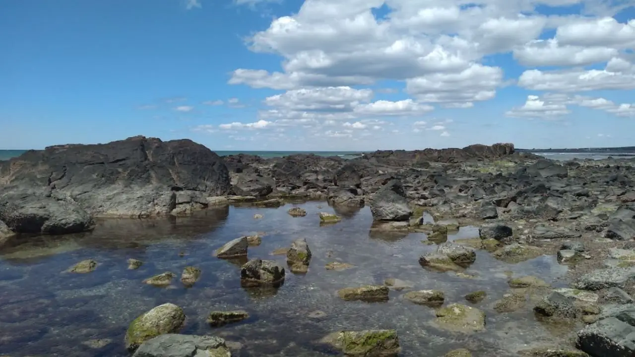 Explora los Secretos de la Playa Piedras Coloradas: Un Tesoro Geológico en la Patagonia, cerca de Las Grutas