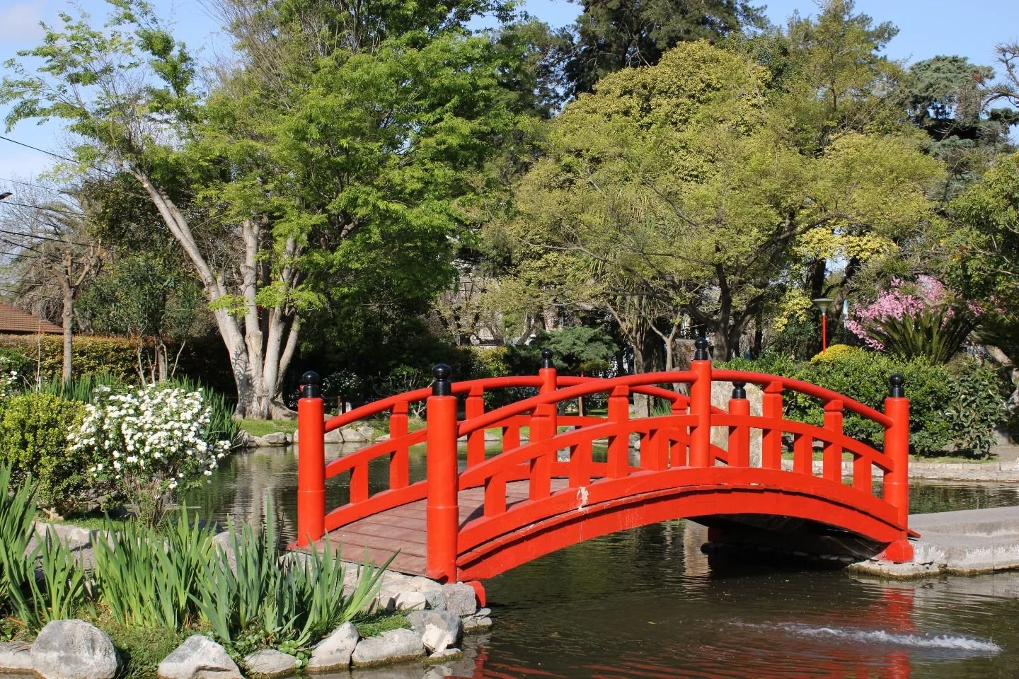 puente en jardin japones escobar