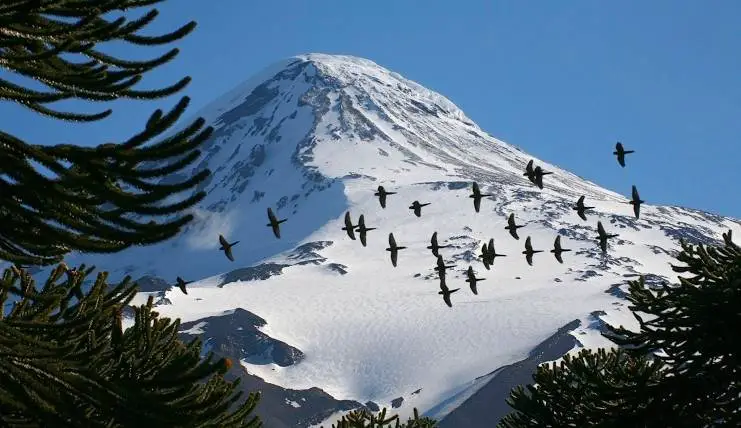 volcán Lanín en la patagonia