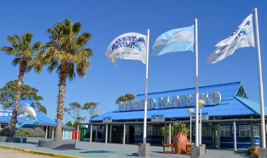 mundo marino en San Clemente del Tuyu