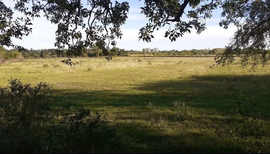 paisajes rurales en ministro rivadavia buenos aires argentina