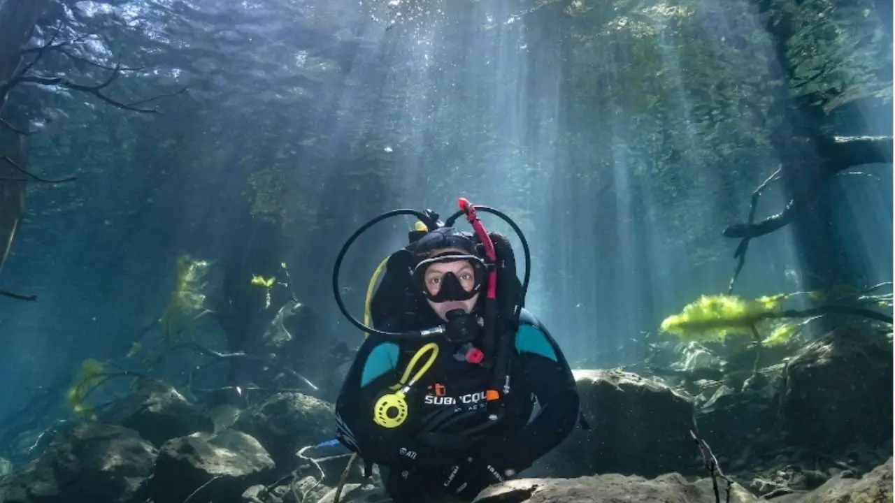 buceo en el bosque sumergido de la patagonia