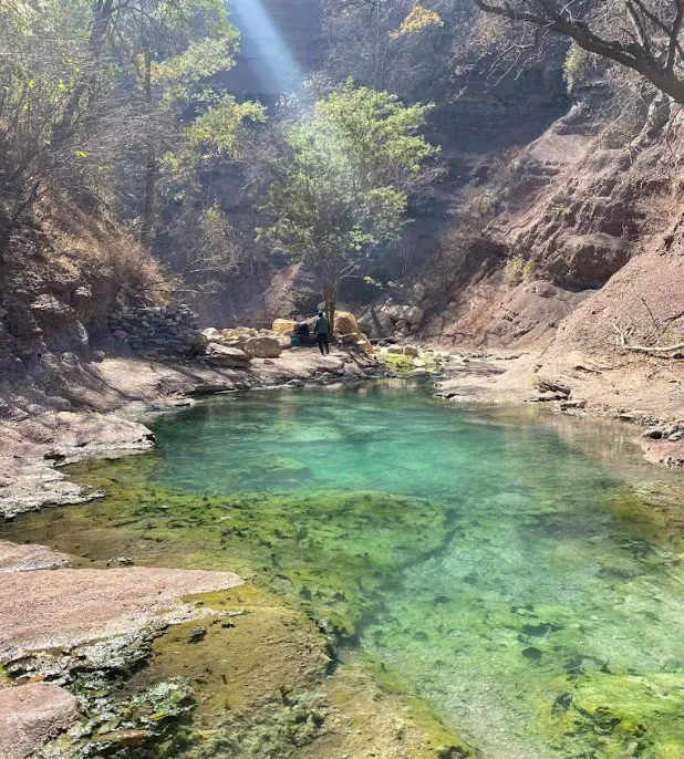 laguna en el parque nacional calilegua en jujuy