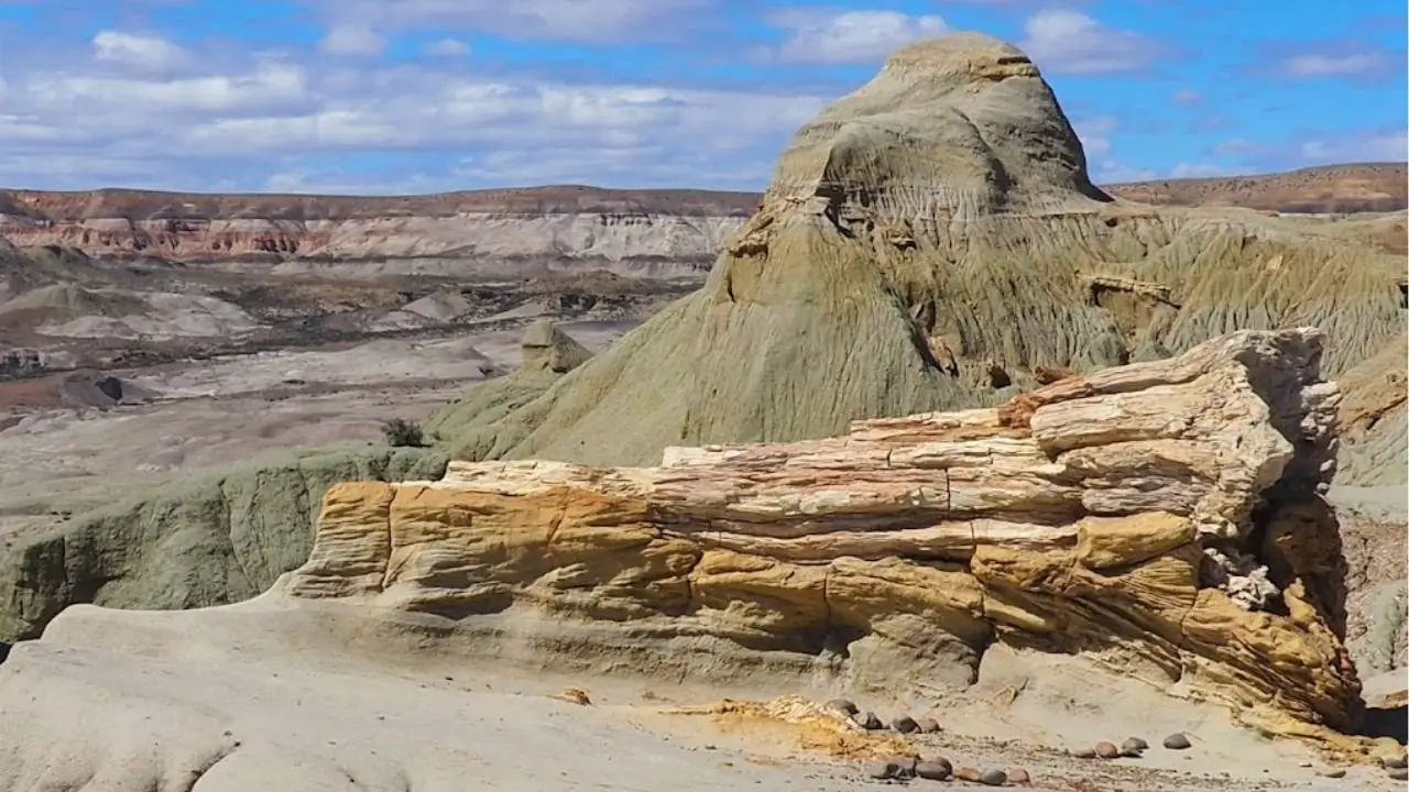 El Bosque Petrificado de la Patagonia: Un rincón con 65 millones de años de historia
