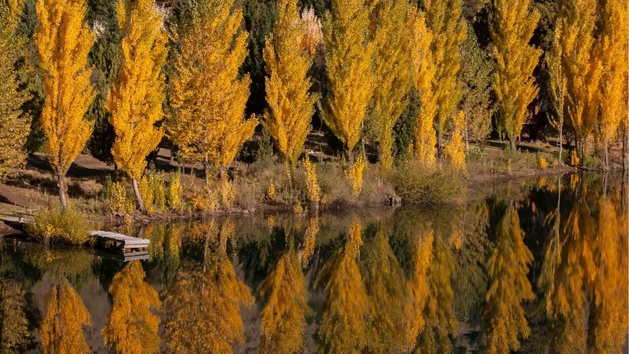 Escapada de otoño: El paraíso cercano a Bariloche accesible únicamente en balsa
