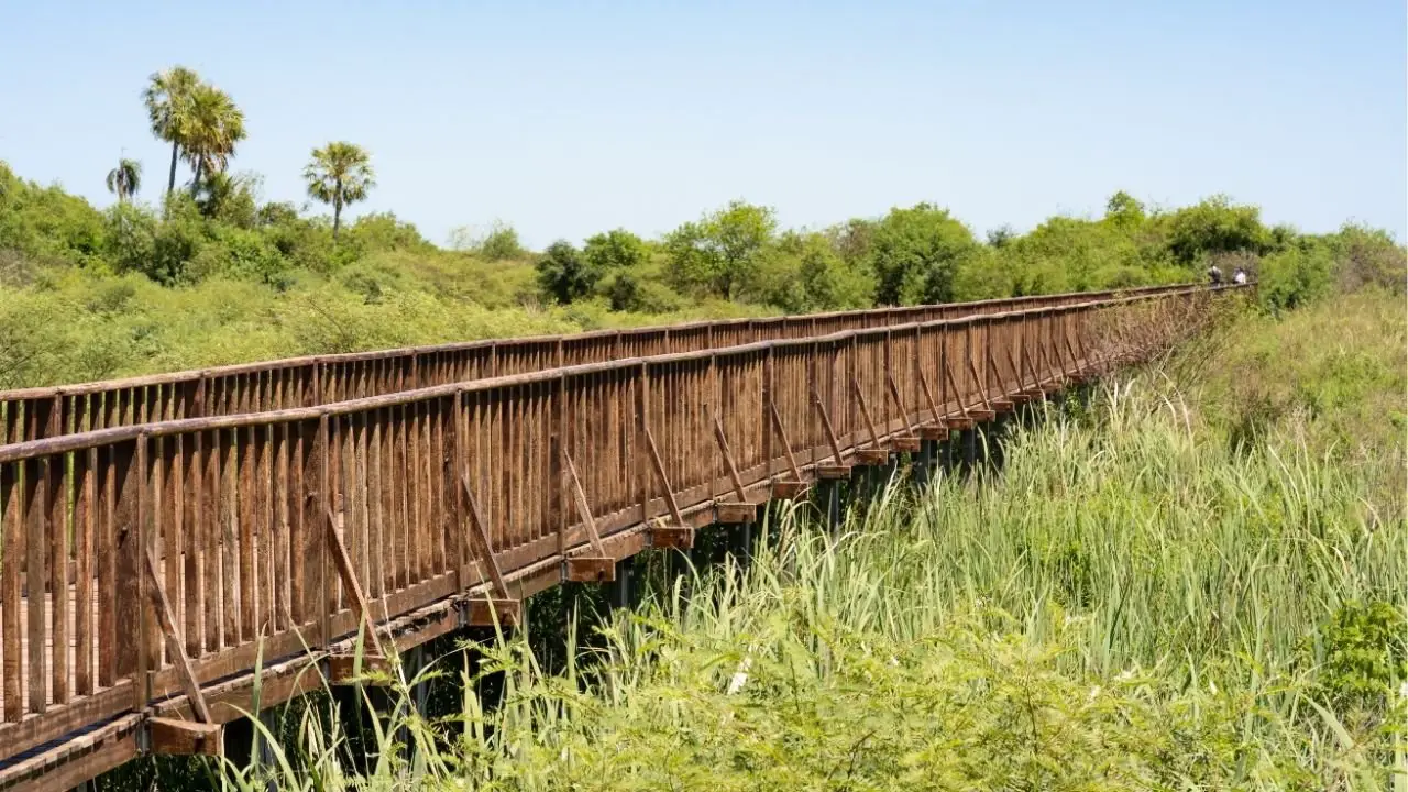 pasarelas en esteros del ibera