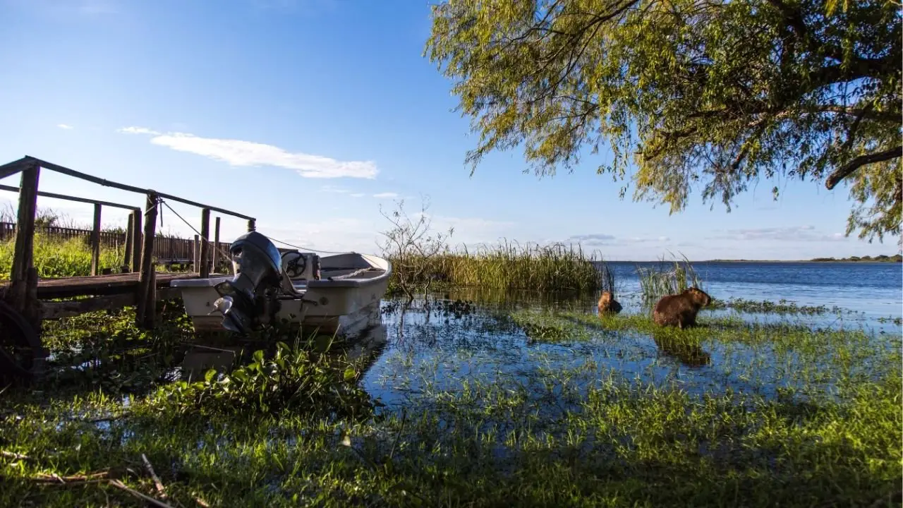 paseos en bote en esteros del ibera