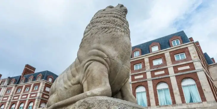 lobo marino en mar del plata